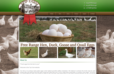 Top Farm Eggs This is a description